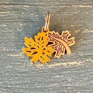 NWOT Brighton “ Turning a New Leaf “ charm